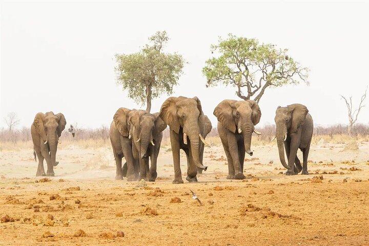 Tour safari di 3 giorni nello Tsavo est e ovest da Nairobi in jeep 4x4