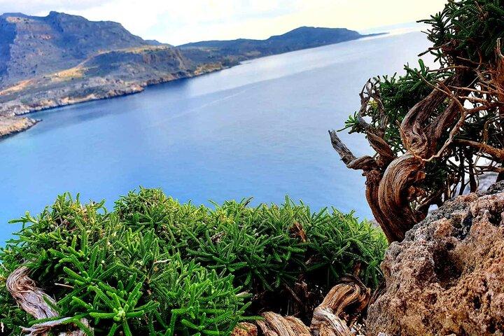 Rhodos 4x4 Self-Drive Expedition med traditionell lunch med 11 tallrikar