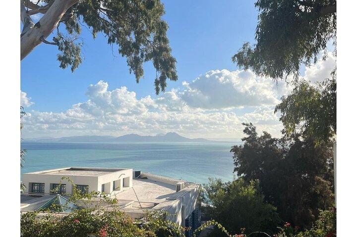 Divertente VIP: Medina di Tunisi/Bardo + Sidi Bou Said + Cartagine Pickup Tutti