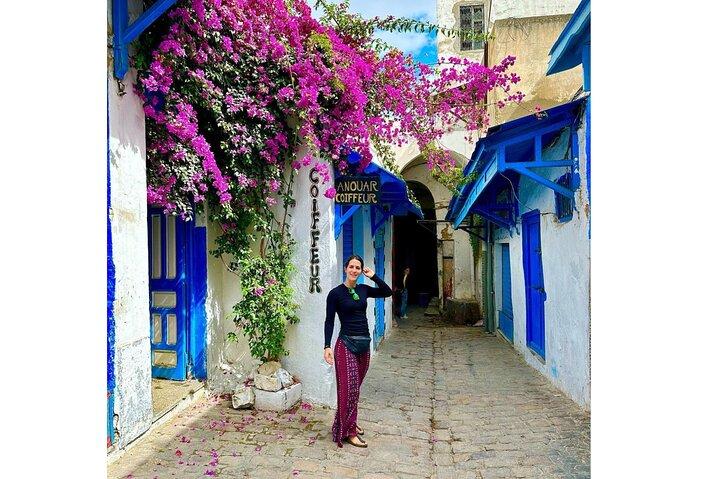 Divertente VIP: Medina di Tunisi/Bardo + Sidi Bou Said + Cartagine Pickup Tutti