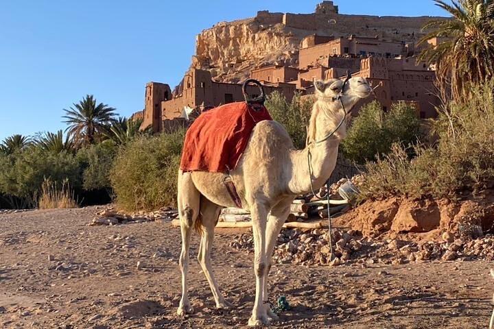Geführte Wanderung in Ait Ben Haddou rund um das Leben der Berber
