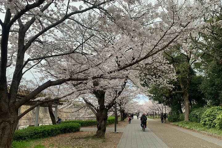 Osaka Highlights: 4Hrs Guided Walking Tour with a Native Expert