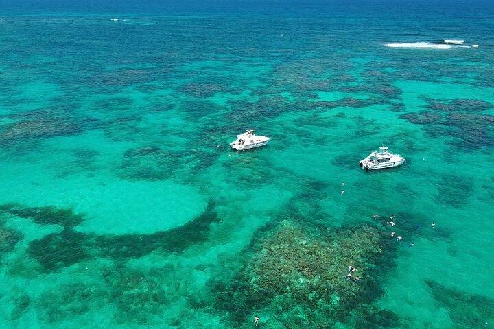 Punta Cana: Tour de catamarã, snorkeling de recife e bebidas ilimitadas!