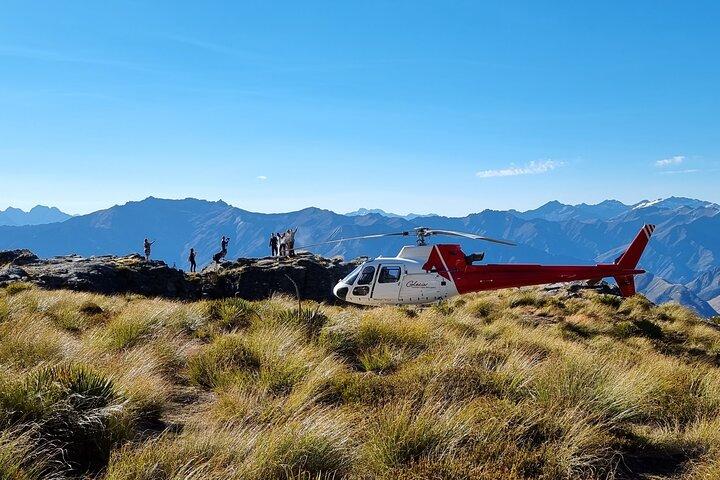 30-Minute Alpine Scenic Flight from Queenstown
