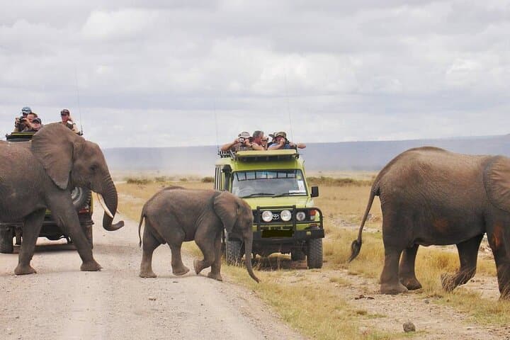 4 Days Maasai Mara Flying Luxury Safari at Mara Simba on Jeep