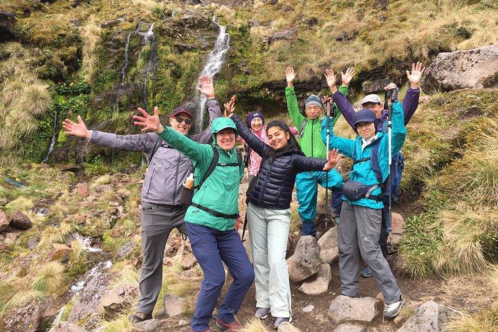 Caminata grupal guiada alpina de Tongariro de medio día