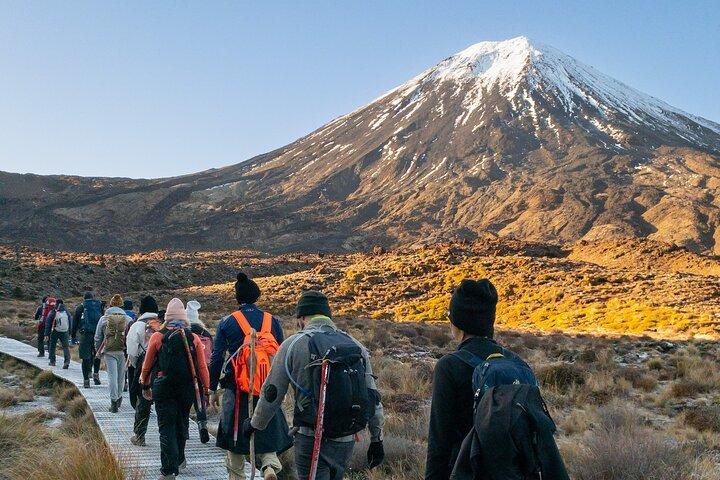 Caminata grupal guiada alpina de Tongariro de medio día