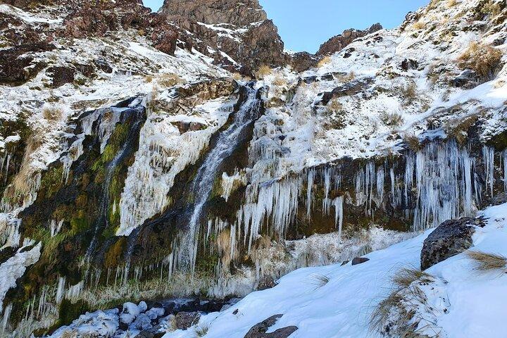 Caminata grupal guiada alpina de Tongariro de medio día
