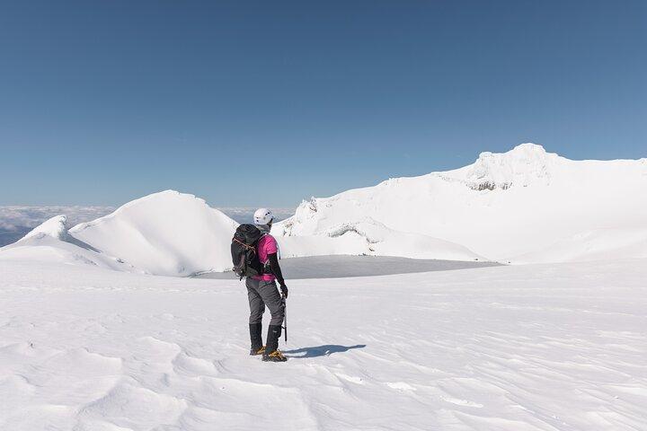 Caminata guiada en grupo premium por la meseta de la cumbre del monte Ruapehu