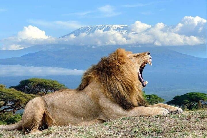 3 Days Amboseli National Park and Tsavo West Adventure Safari