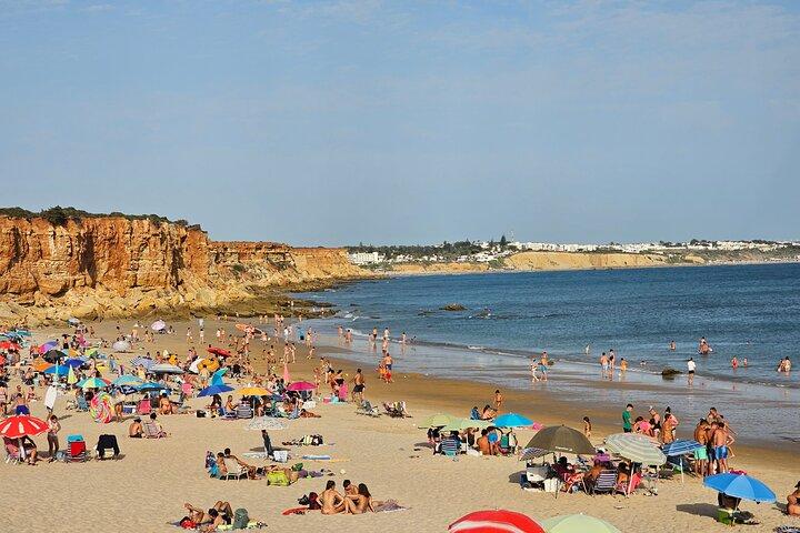 Viagem privada de um dia às vilas costeiras brancas e às praias saindo de Sevilha