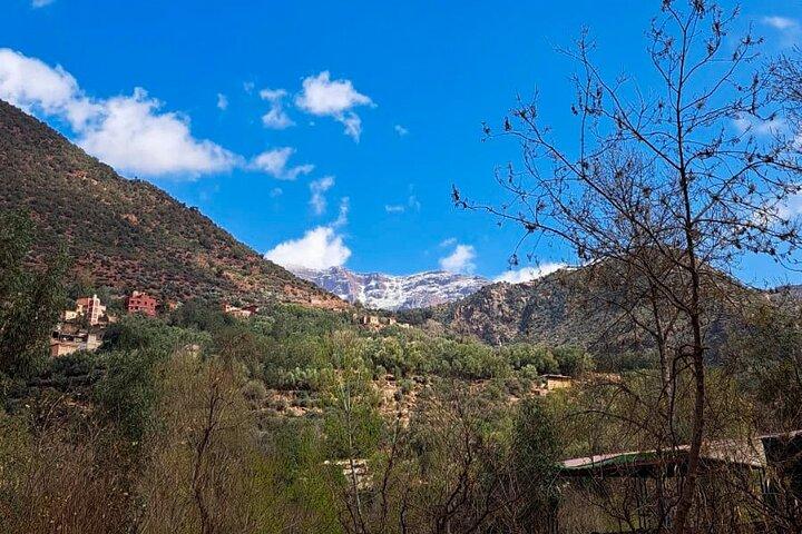 Atlas Mountains 4x4 Exclusive Private Day Tour from Marrakech