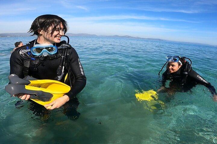 Découvrez l'expérience de plongée sous-marine en petit groupe à Nea Makri, Athènes