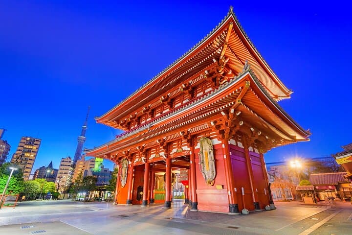 Private & Customizable Tokyo Tour (10 Hours) with English Driver