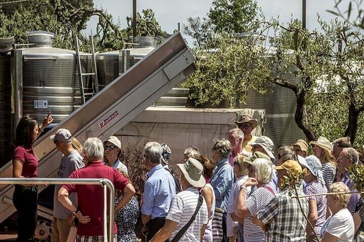 Vesuvius Wine Tasting Tour from Naples with Lunch