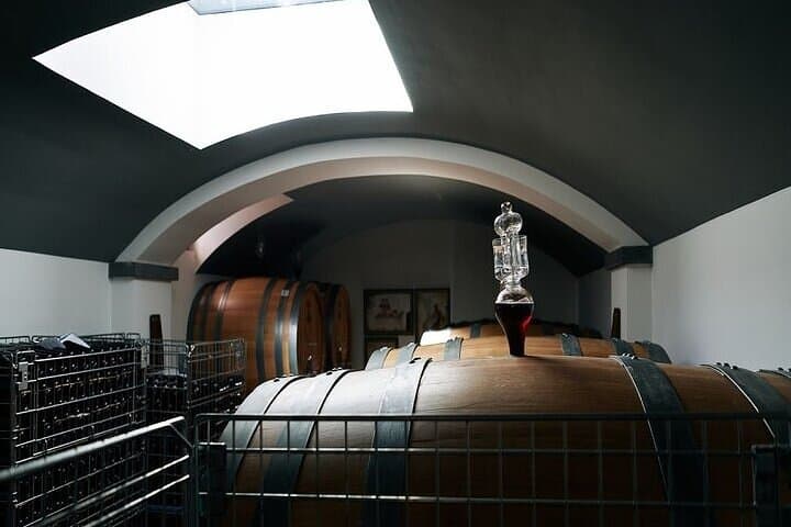Vesuvius Wine Tasting Tour from Naples with Lunch