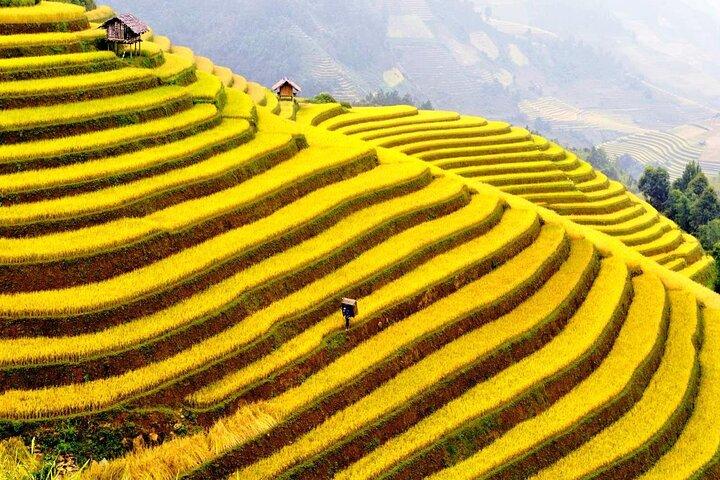 Auto privata: da Ninh Binh (Tam Coc, Trang An) a Sapa