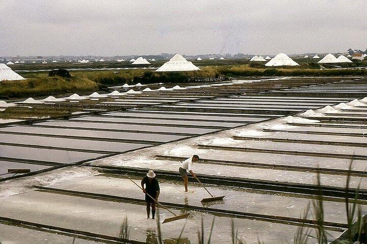 Middag Portugees Venetië: Aveiro en Costa Nova Vertrek vanuit Porto