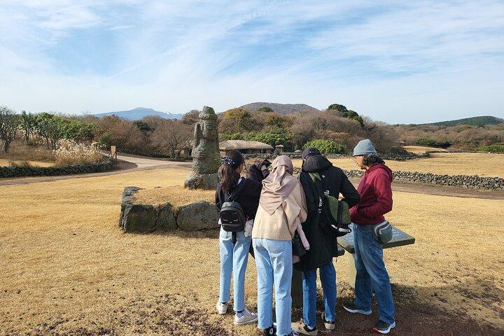 Tour en taxi guiado privado en la isla de jeju