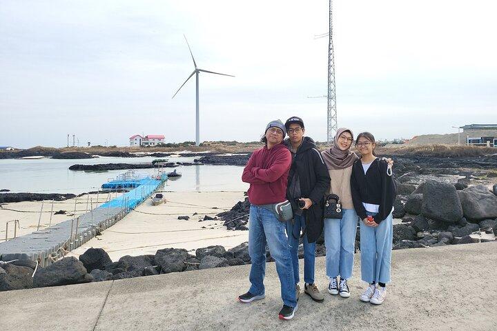 Tour en taxi guiado privado en la isla de jeju