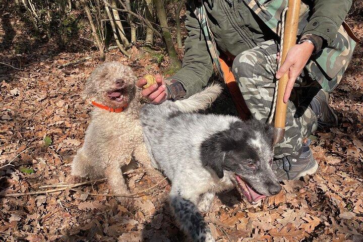 犬と一緒にトスカーナ州サン・ミニアートでトリュフ狩りと試食