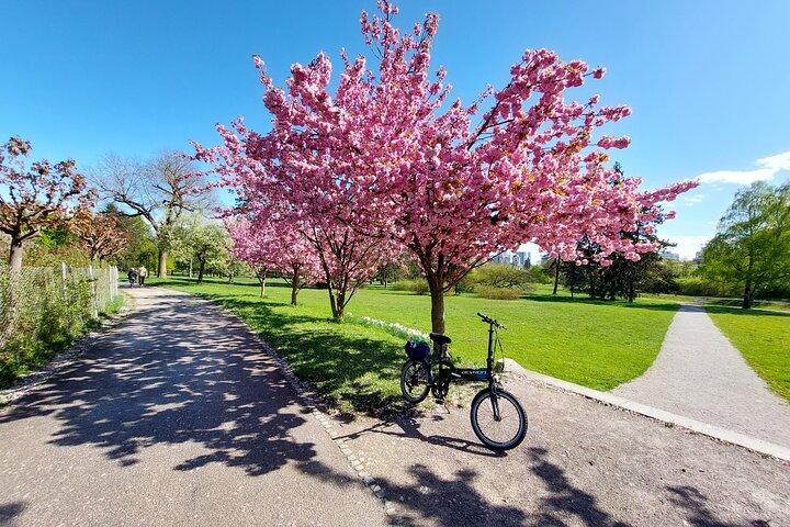 Ljubljana sightseeingtur med elektriske cykler