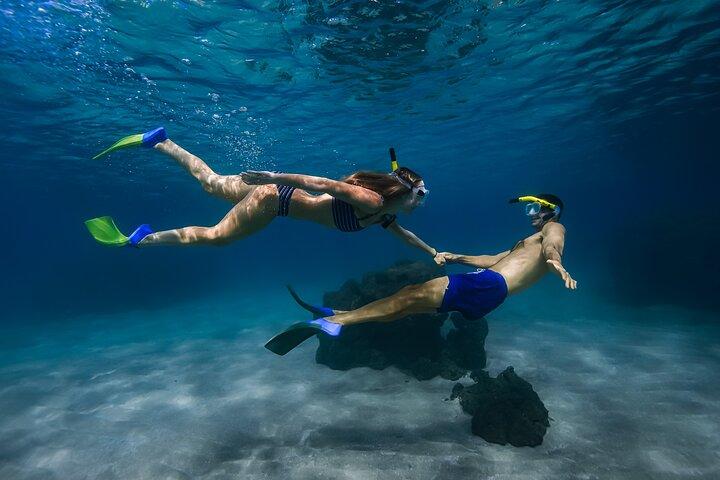Turtle Town Coastal Kayak & Snorkel: Turtles Guaranteed