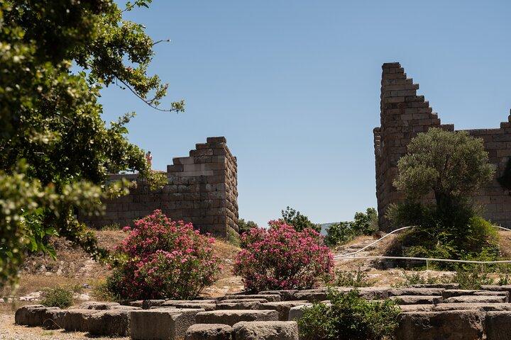 Dagsudforskning i Bodrum med hoteloverførsel