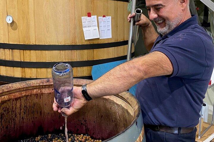 The Real Rioja Explore Tour - Privat oplevelse