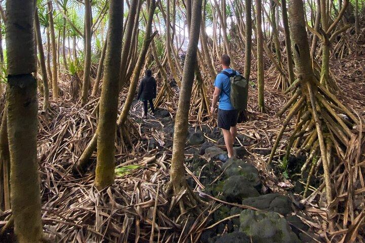 Secret Tide Pool Hike - Jungle & Coast - Privado