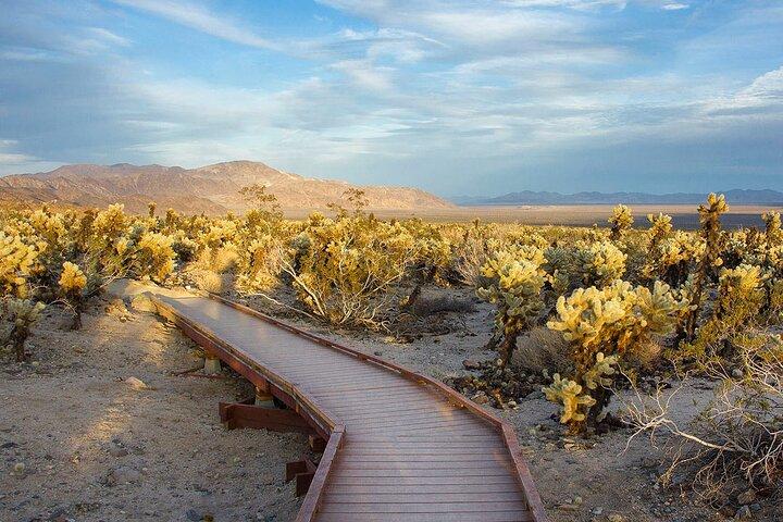 Viaggio nel Joshua Tree Audio Tour su richiesta e Guida locale