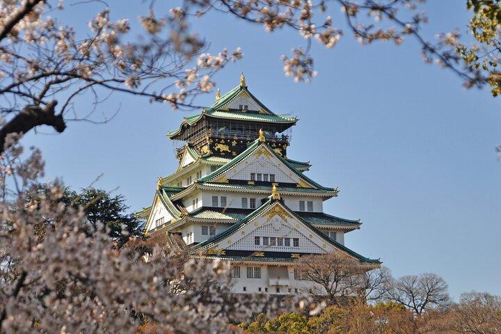 Visite privée personnalisable à Nagoya avec transfert inclus