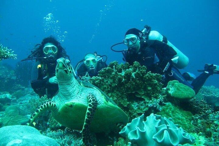 Side /Manavgat : Scuba Diving For Beginners w/ Lunch Transfer