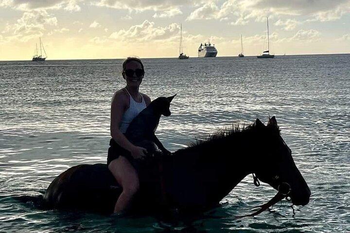 Tour al tramonto a cavallo di 2 ore con il maneggio di Dore