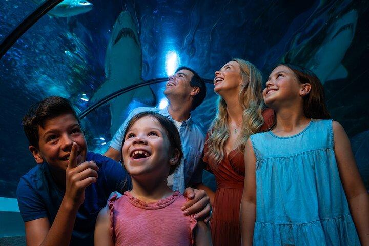 Billet d'entrée à l'aquarium SEA LIFE Sunshine Coast