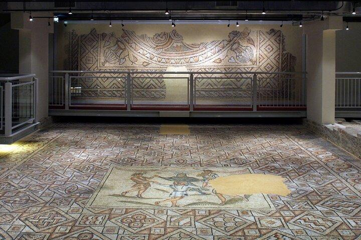 Adgangskort til Domus of Stone Mosaics Archaeological Site