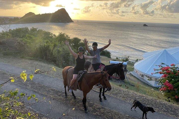 2 Hour Horseback Riding Sunset Tour with Dore's Riding Stable