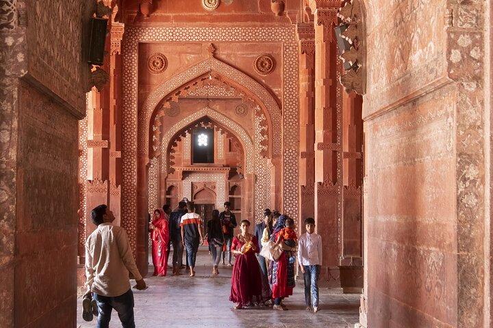 Gita di un giorno a Fatehpur Sikri, Bird Sanctuary, Chand Baori da Agra
