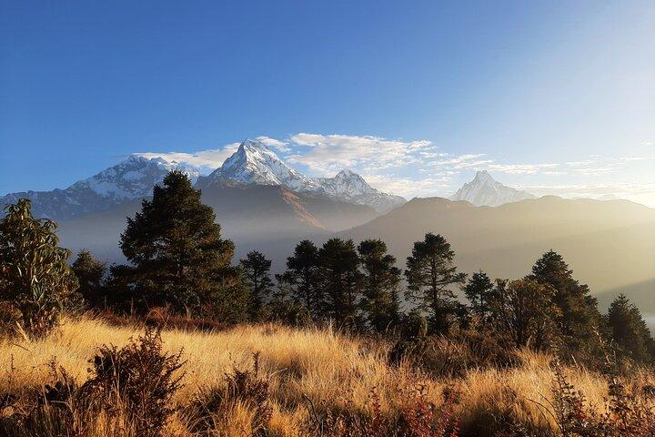 6-tägiger Poon Hill Sunrise Trek