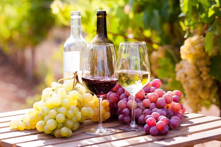 Wine tasting in the Vesuvius national park