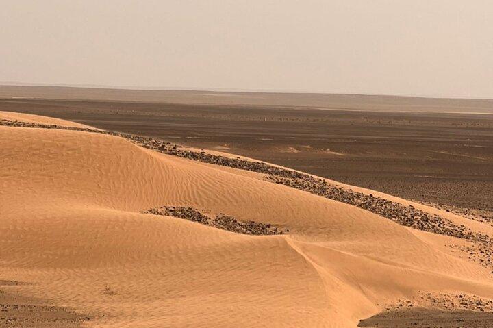 Explora Merzouga con nuestras inolvidables Expediciones en Camello