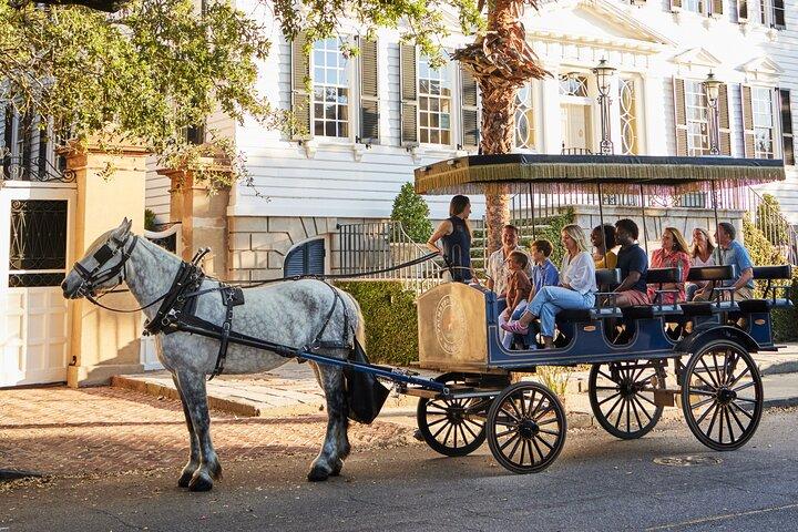 Charleston hestevognstur: Udforsk historiske Charleston