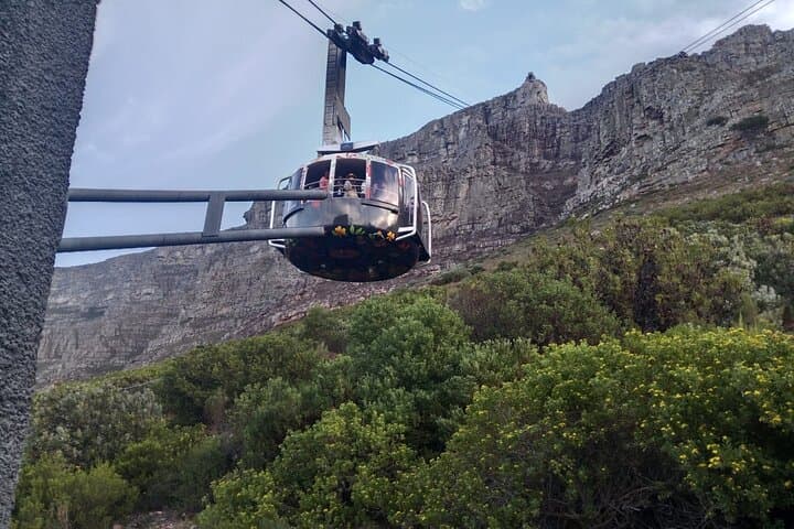 Day Tour to Table Mountain , Cape of Good Hope & Penguins