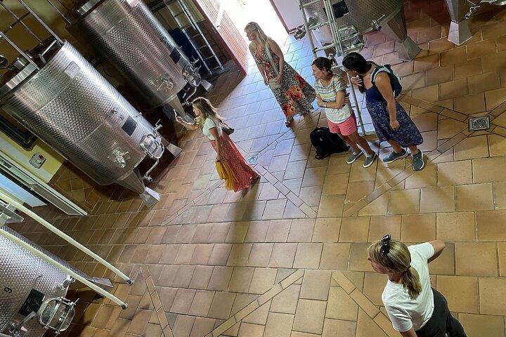 Conrad Guided Cellar Tour e degustação de vinhos em Ronda