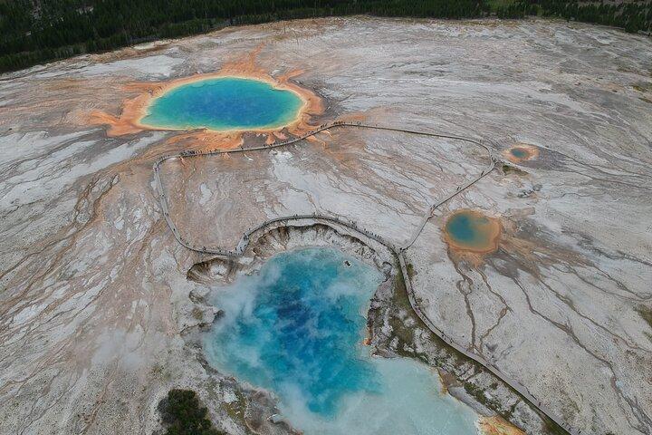 Tour privado de día completo a Yellowstone desde Jackson Hole
