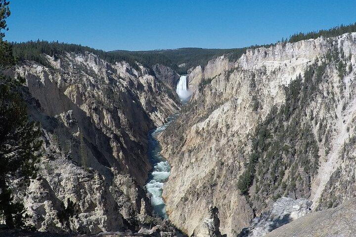 Tour privado de día completo a Yellowstone desde Jackson Hole