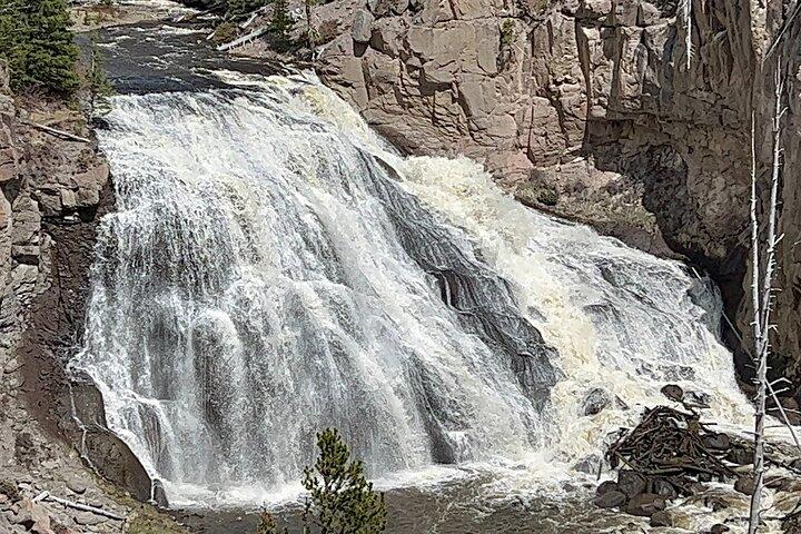 Tour privado de día completo a Yellowstone desde Jackson Hole