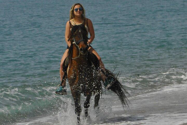 Paseos a caballo en Manavgat Side Forest and Beach