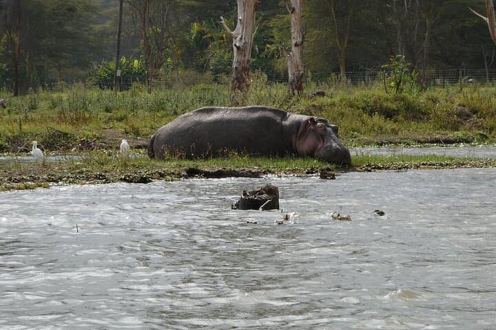 Private Tour to Crescent Island From Nairobi