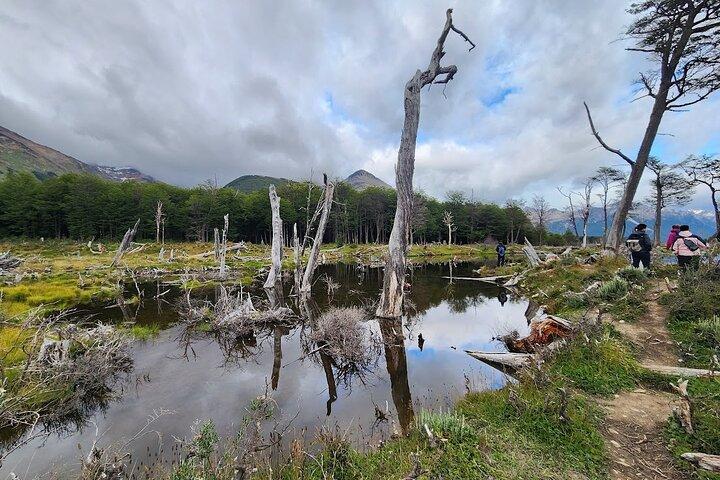 Laguna verde smeraldo di trekking